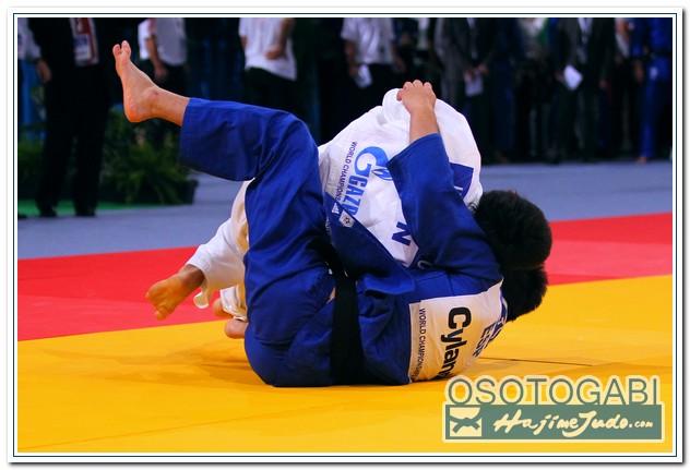 WCPARIS2011 90110
